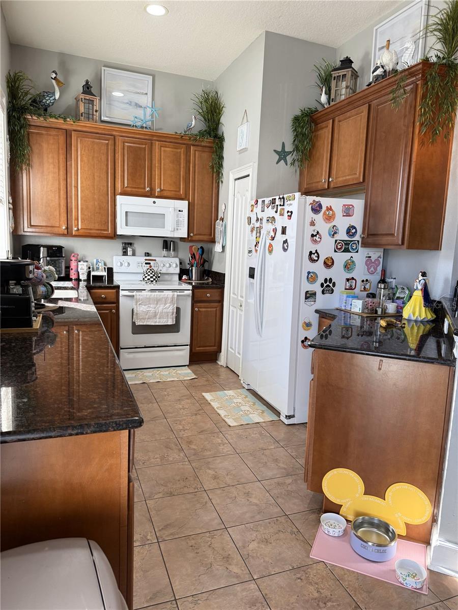 6519 SIMONE SHORES CIR, APOLLO BEACH, FL, 33572