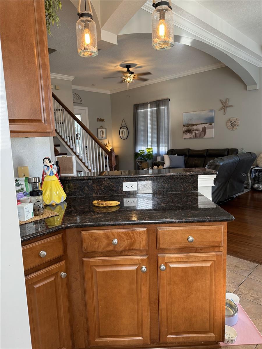 6519 SIMONE SHORES CIR, APOLLO BEACH, FL, 33572