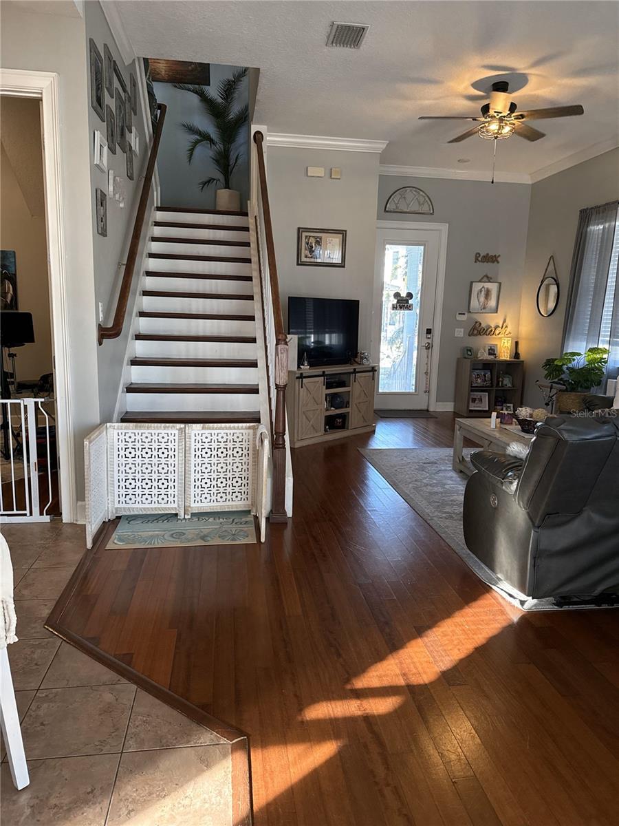 6519 SIMONE SHORES CIR, APOLLO BEACH, FL, 33572