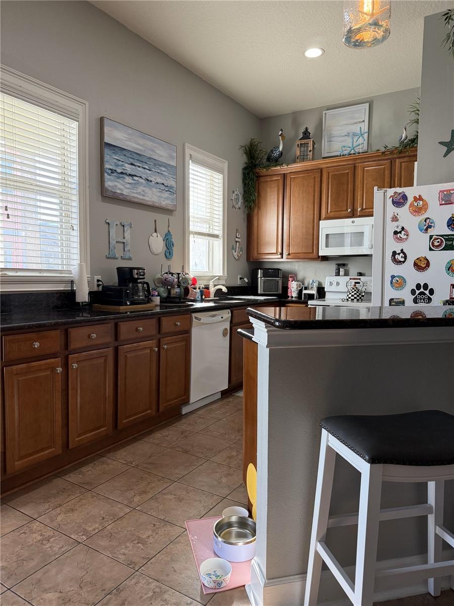 6519 SIMONE SHORES CIR, APOLLO BEACH, FL, 33572