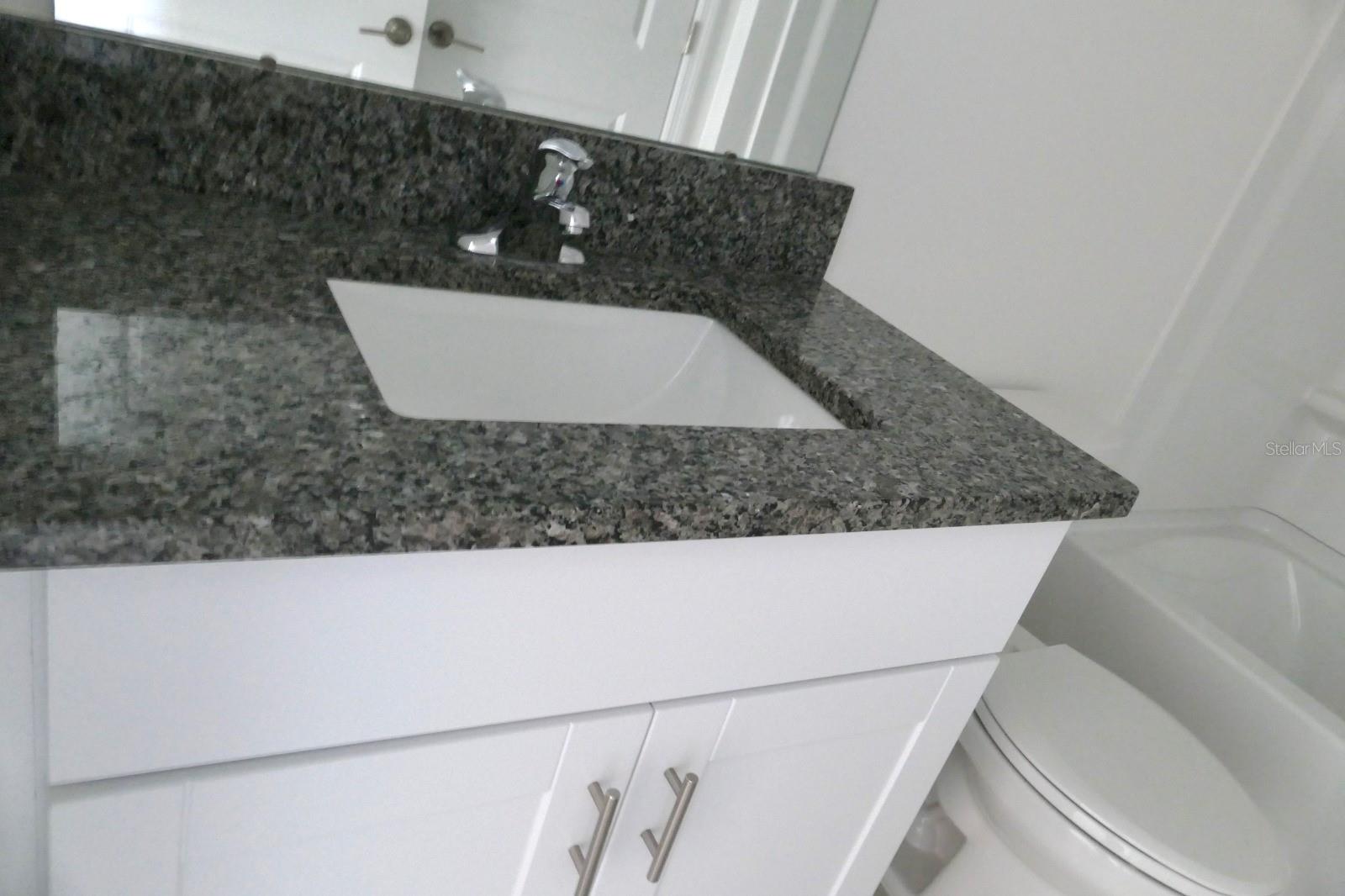 10165 HONEY HAMMOCK WAY, SAN ANTONIO, FL, 33576