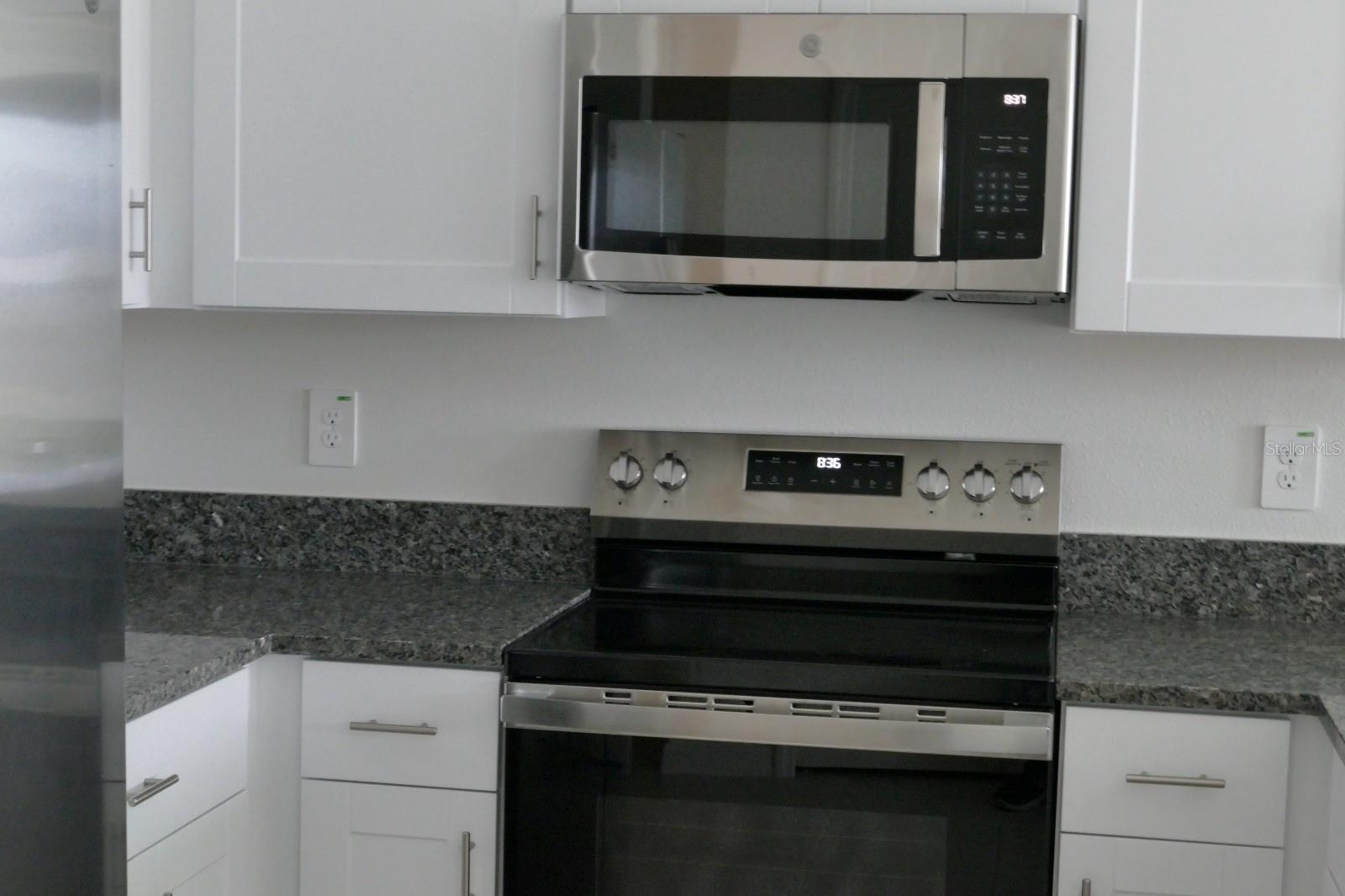 10165 HONEY HAMMOCK WAY, SAN ANTONIO, FL, 33576