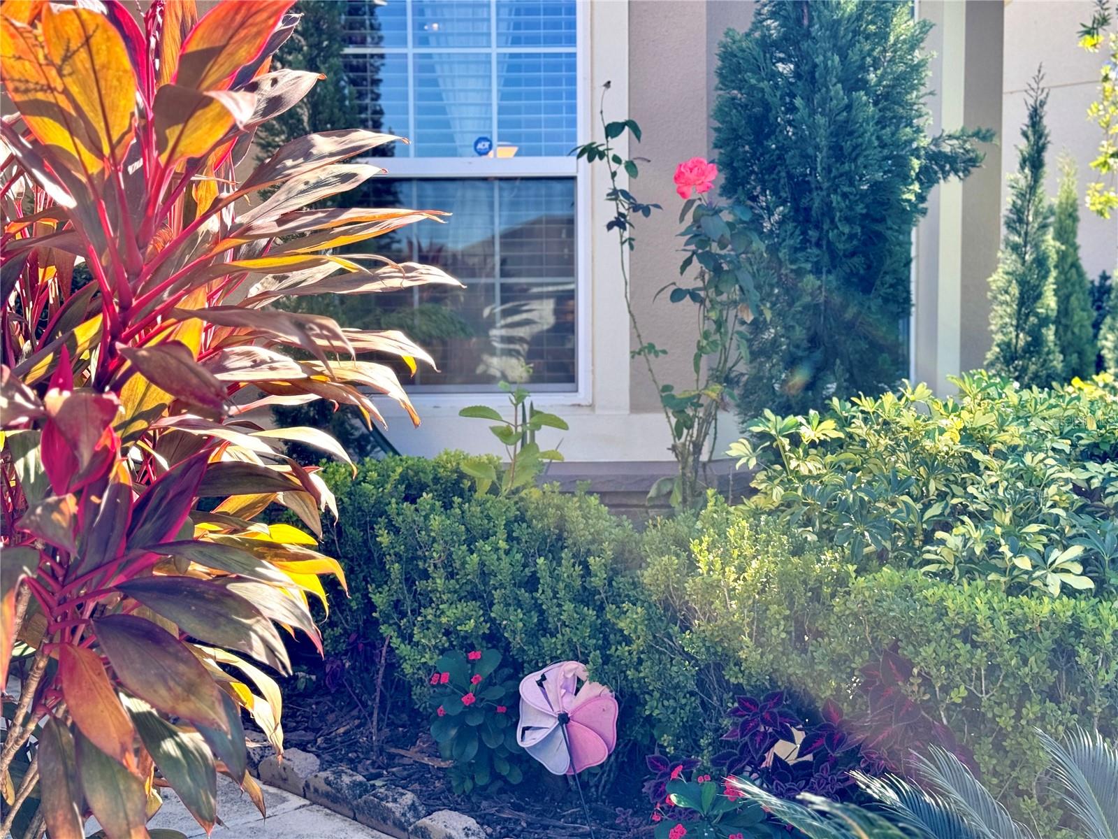1936 MARABOU DR, DAVENPORT, FL, 33896