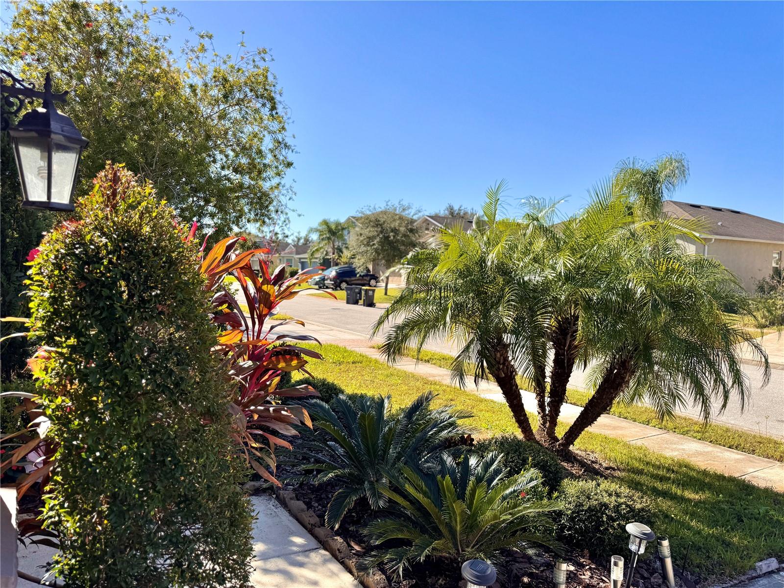 1936 MARABOU DR, DAVENPORT, FL, 33896