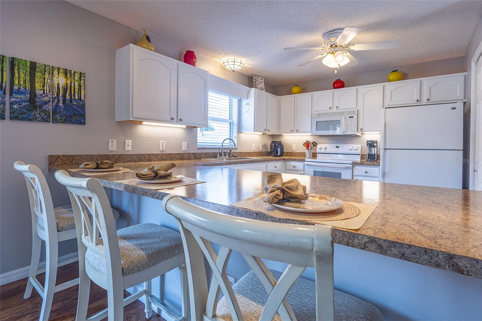 872 OVIEDO RD, THE VILLAGES, FL, 32159
