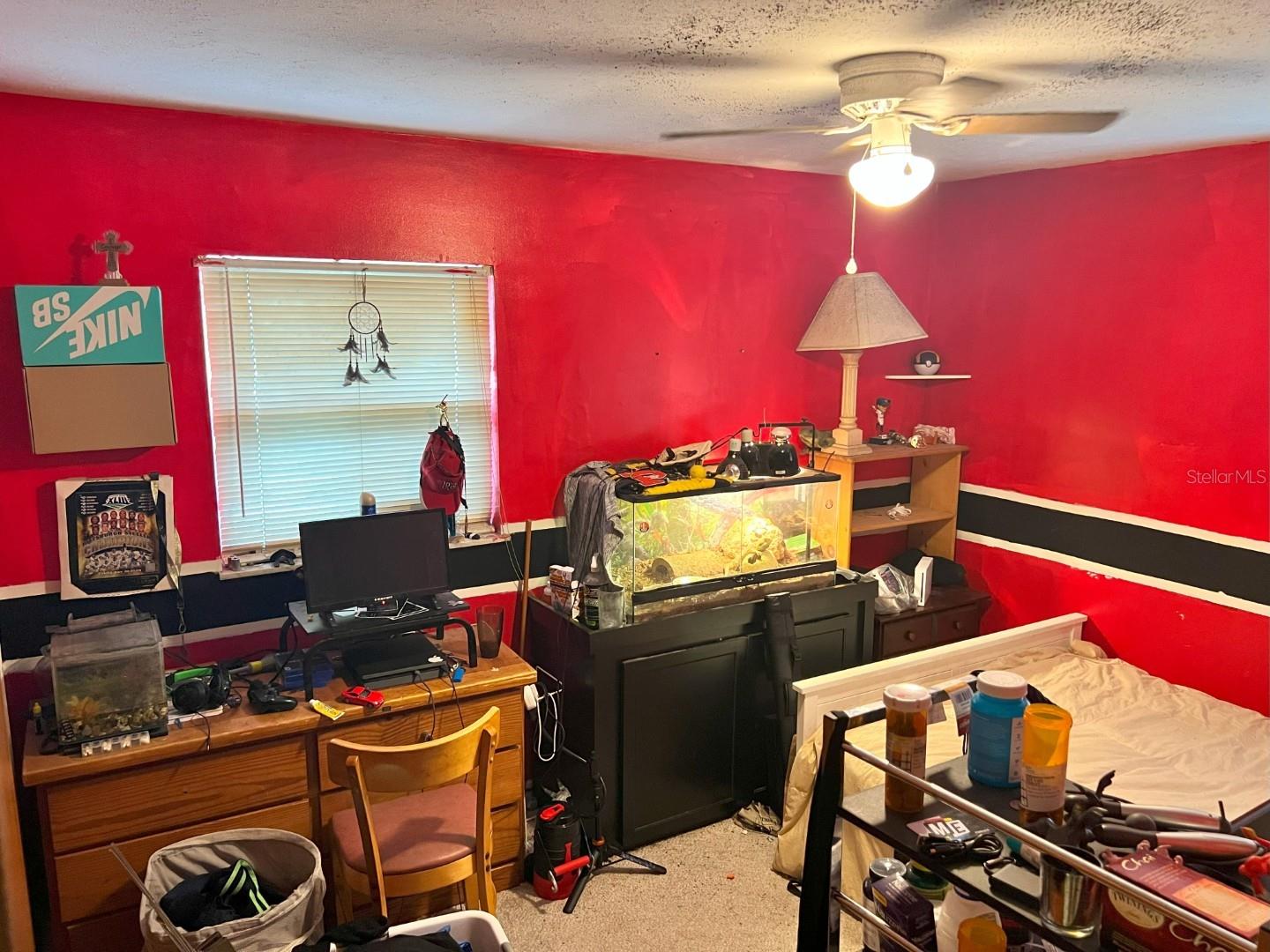 11625 MEADOWLANE DR, DADE CITY, FL, 33525