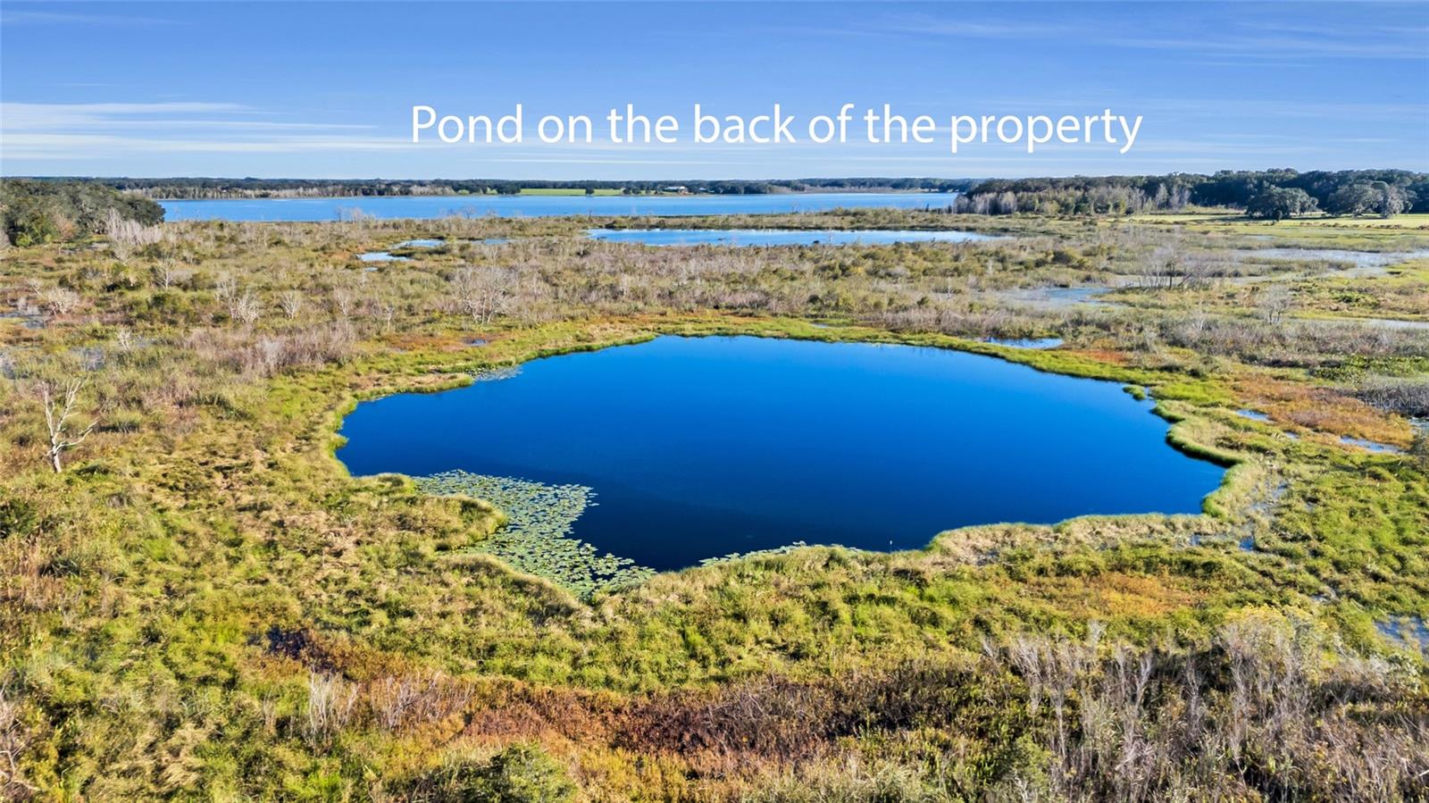 17355 SE 260TH AVENUE RD, UMATILLA, FL, 32784