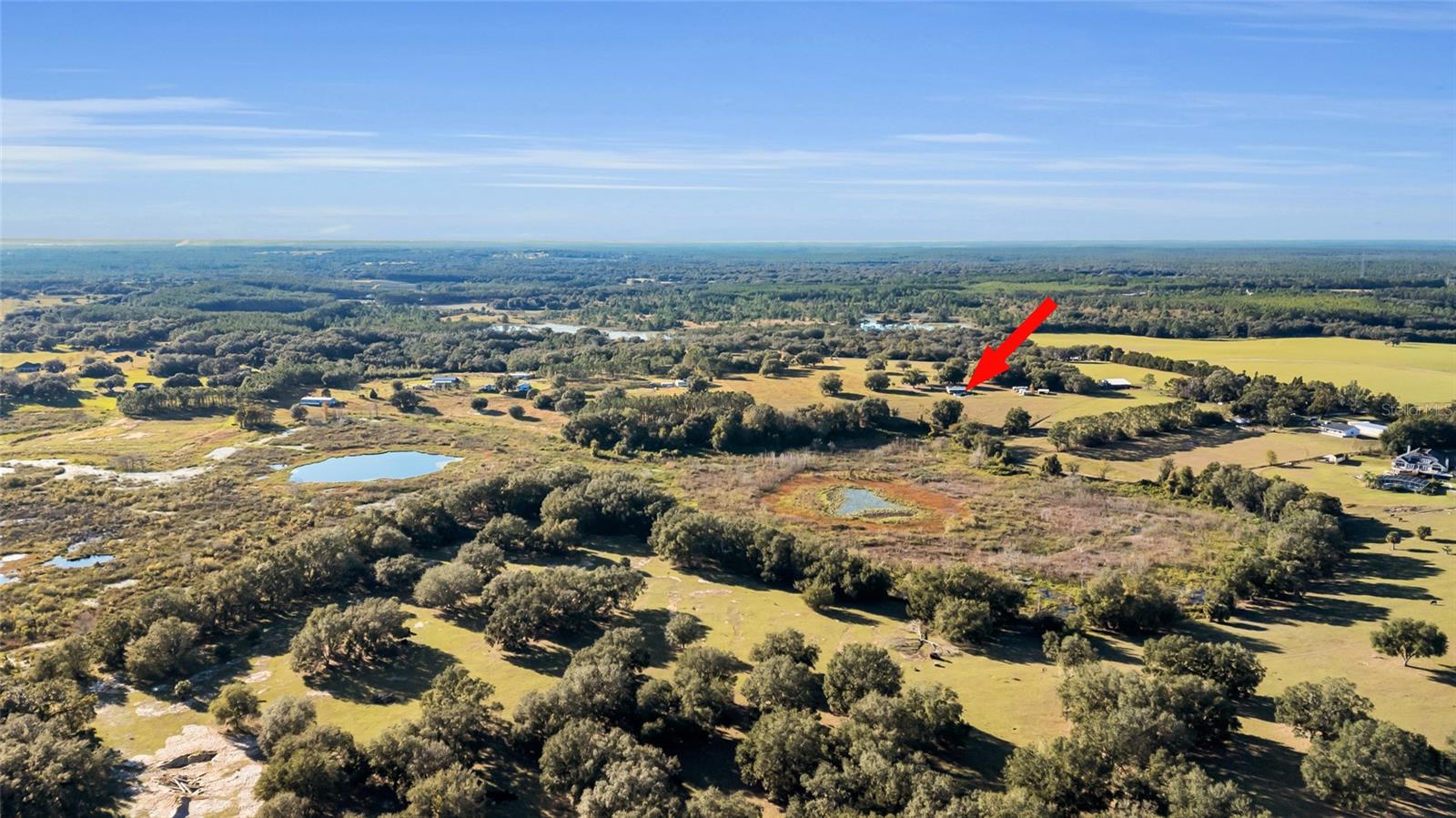 17355 SE 260TH AVENUE RD, UMATILLA, FL, 32784