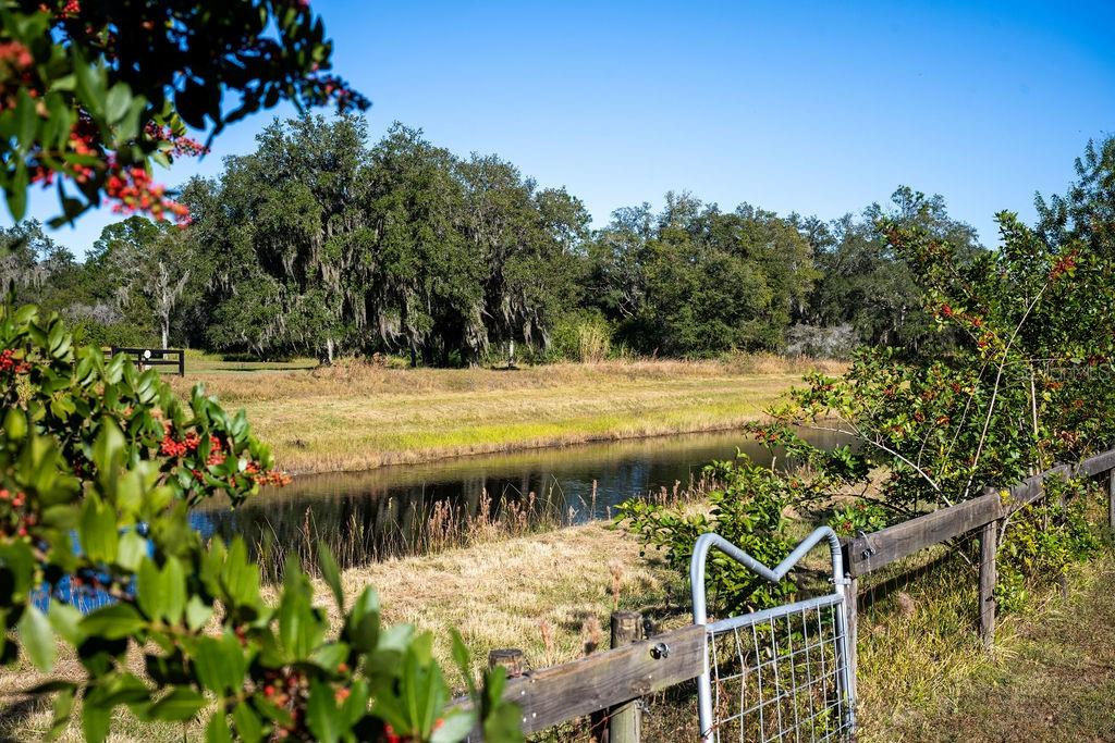 19147 QUINELLA ST, ORLANDO, FL, 32833