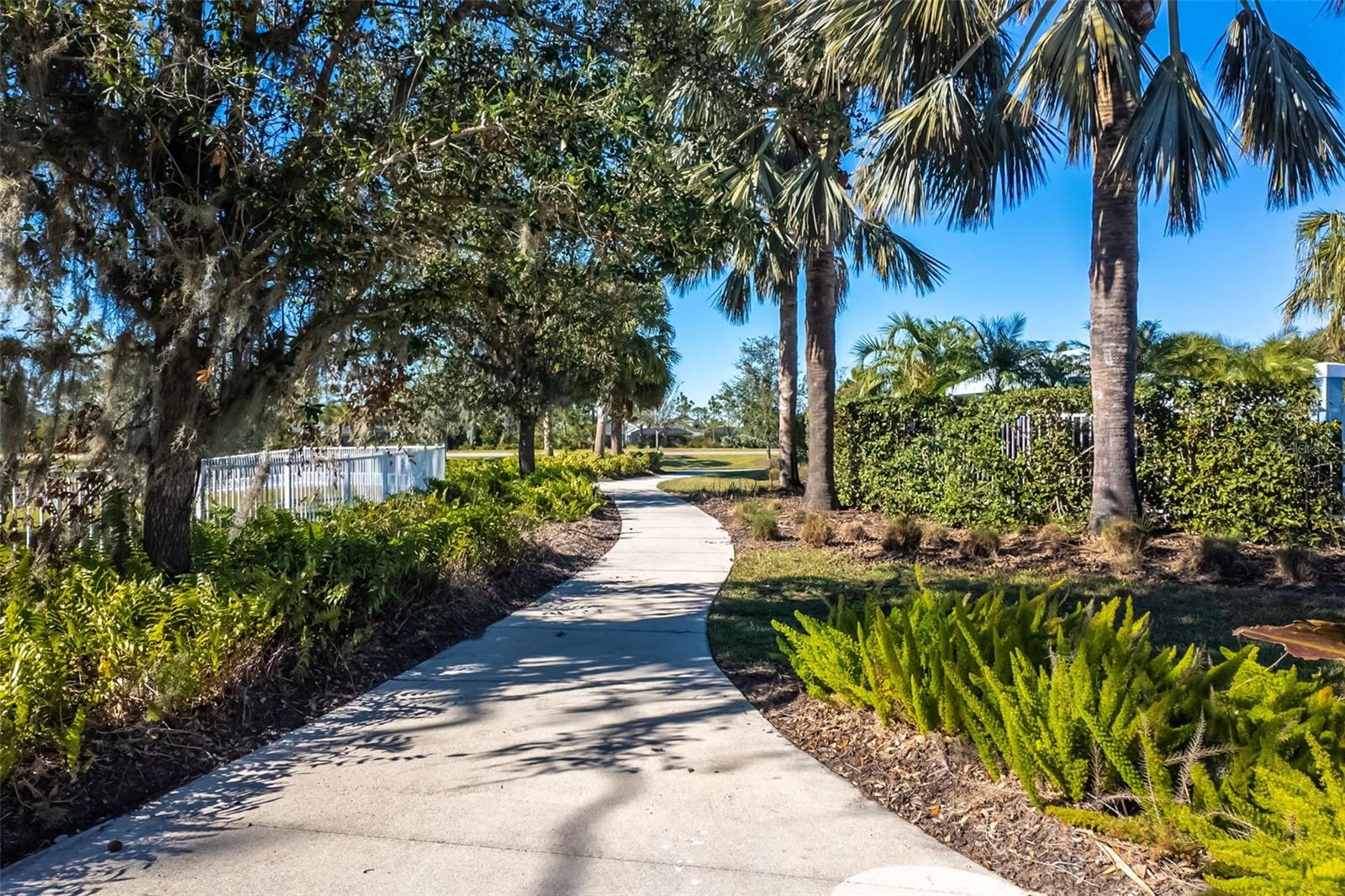 3632 SHIMMERING OAKS DR, PARRISH, FL, 34219