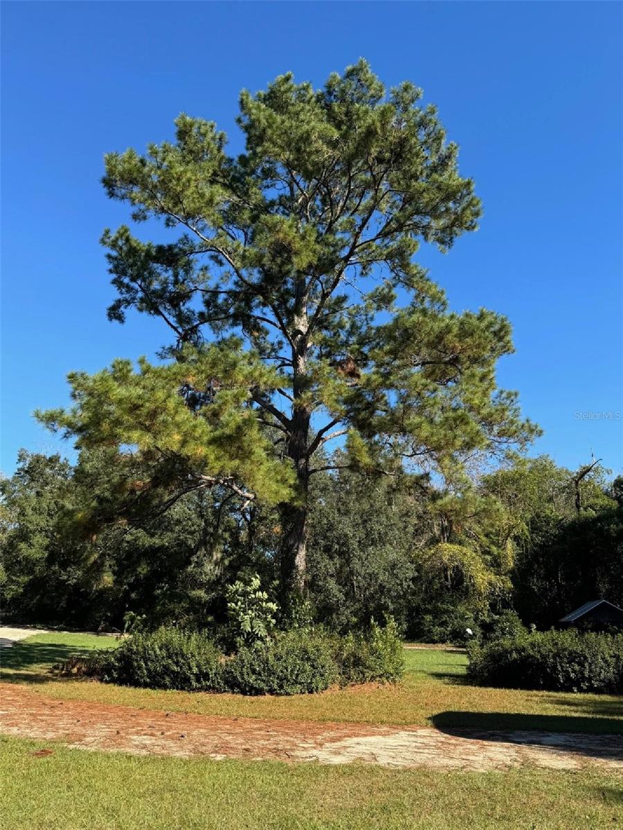 14611 NW 118 AVE, ALACHUA, FL, 32615