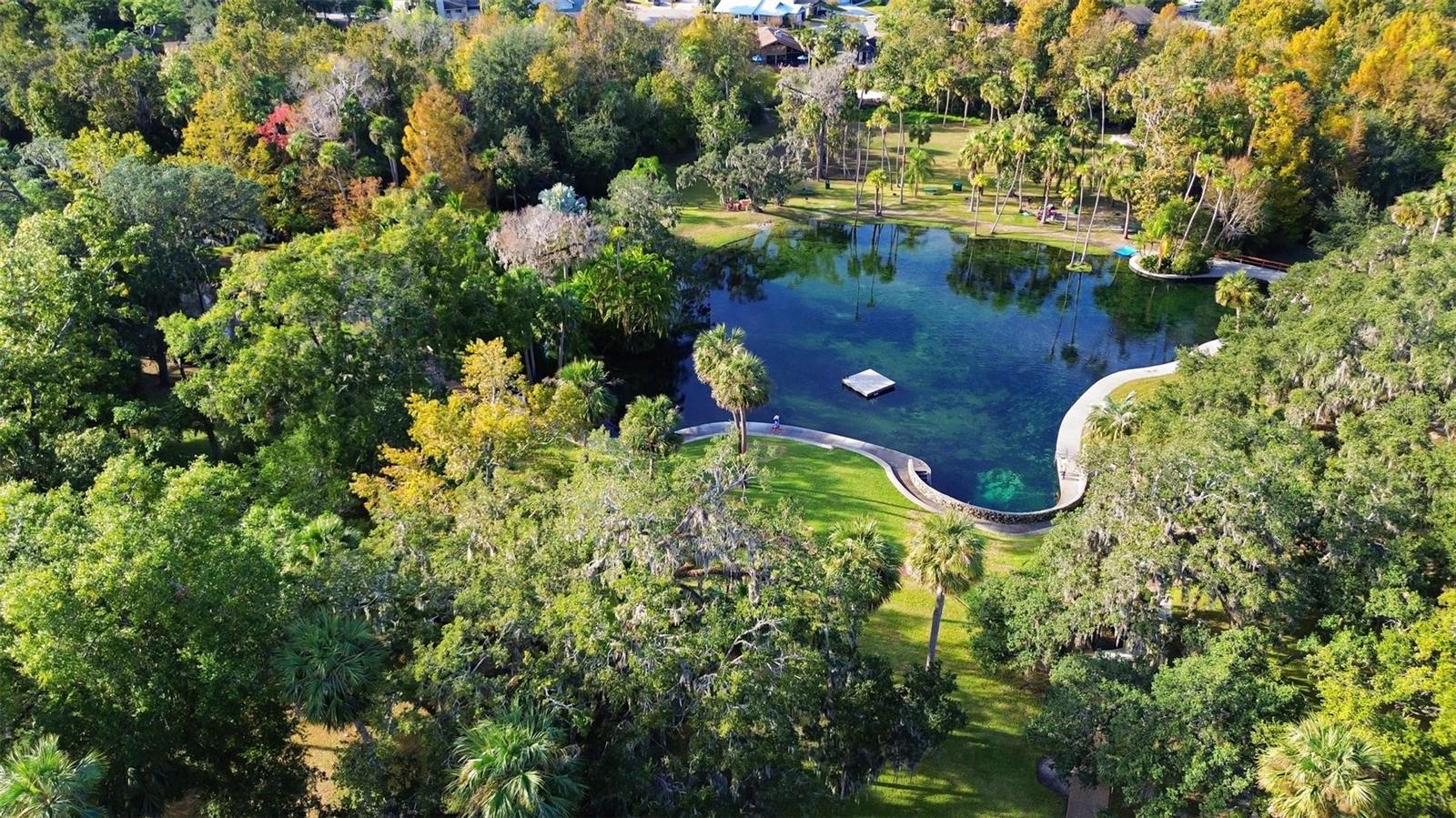 300 SPRING RUN CIR, LONGWOOD, FL, 32779