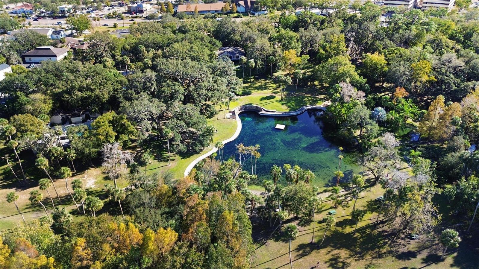 300 SPRING RUN CIR, LONGWOOD, FL, 32779