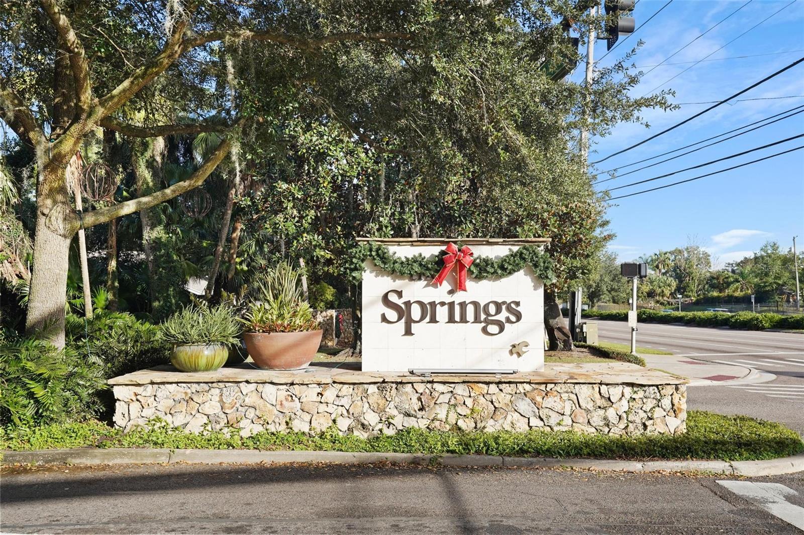 300 SPRING RUN CIR, LONGWOOD, FL, 32779