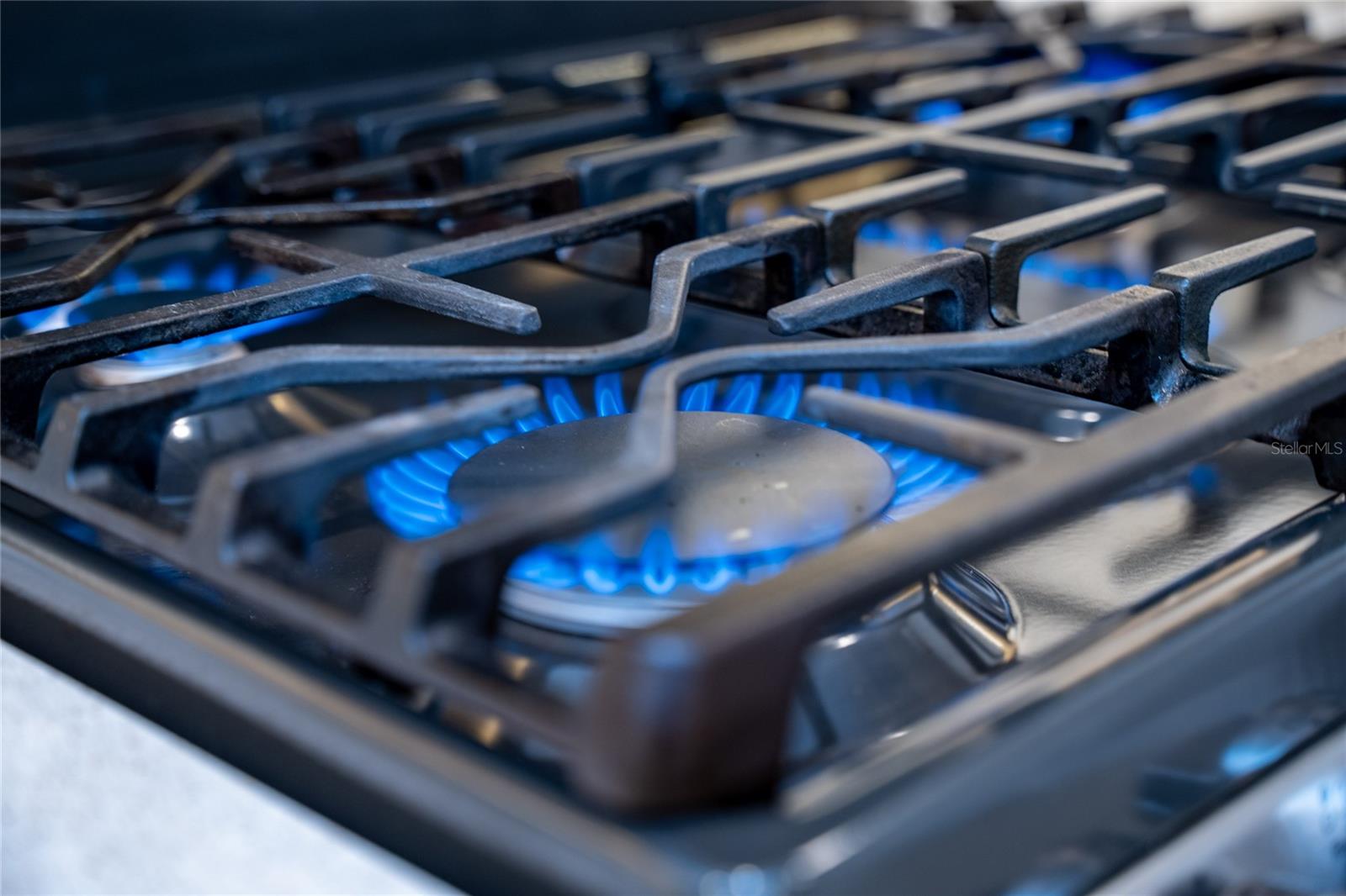 11209 LEMON LAKE BLVD, ORLANDO, FL, 32836