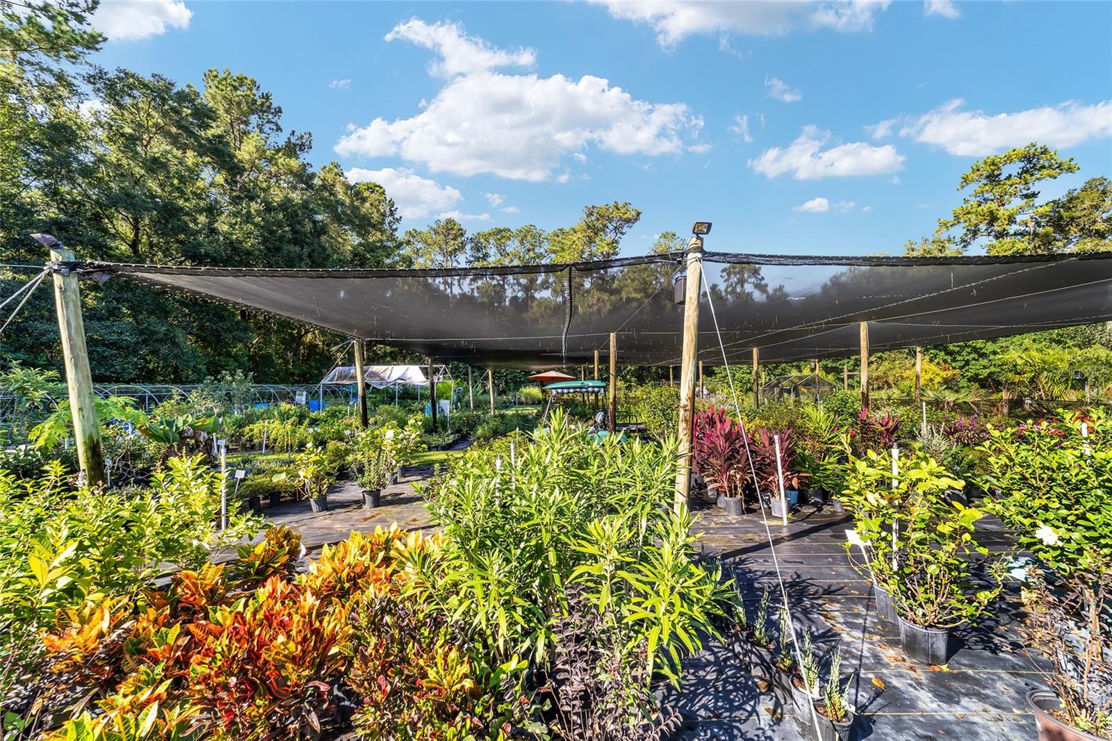 5960 S PINE AVE, OCALA, FL, 34480