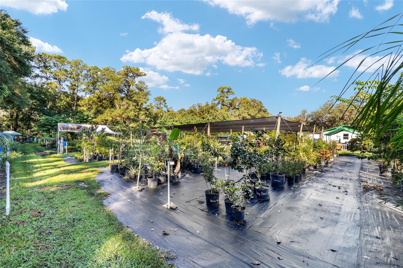 5960 S PINE AVE, OCALA, FL, 34480