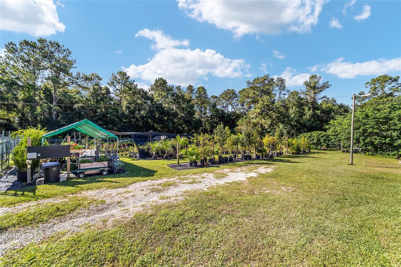 5960 S PINE AVE, OCALA, FL, 34480