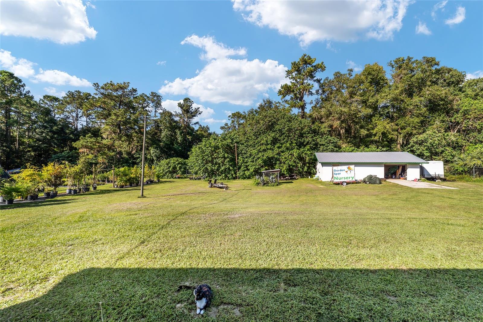 5960 S PINE AVE, OCALA, FL, 34480