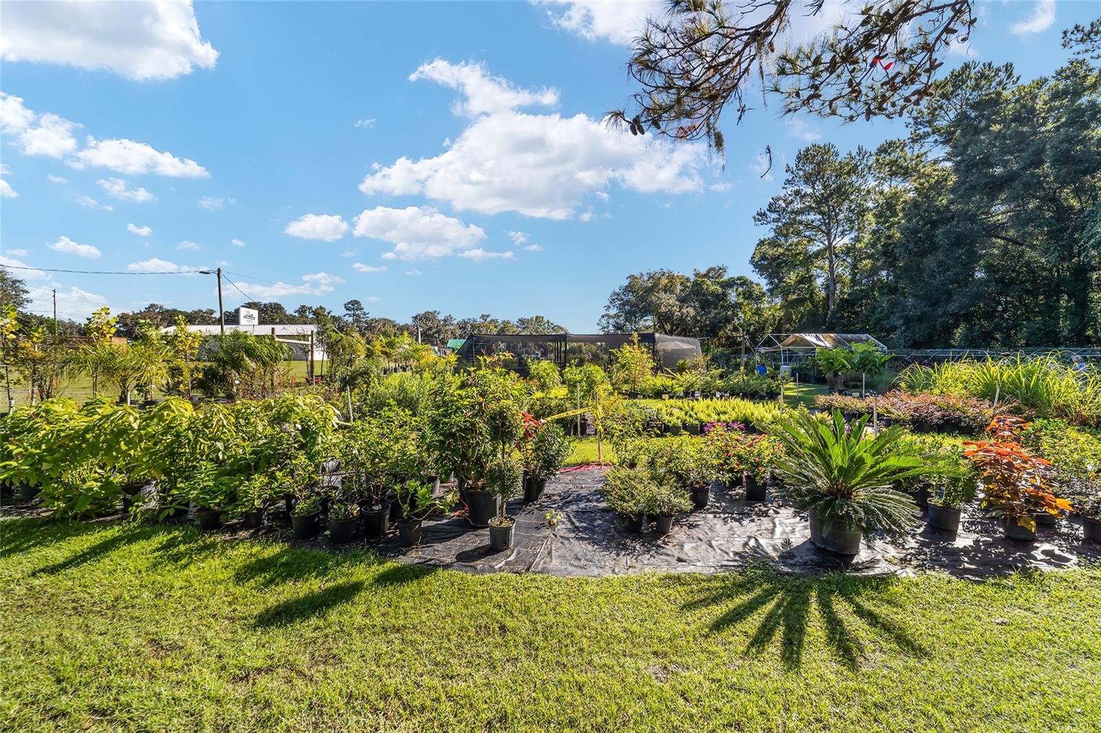 5960 S PINE AVE, OCALA, FL, 34480
