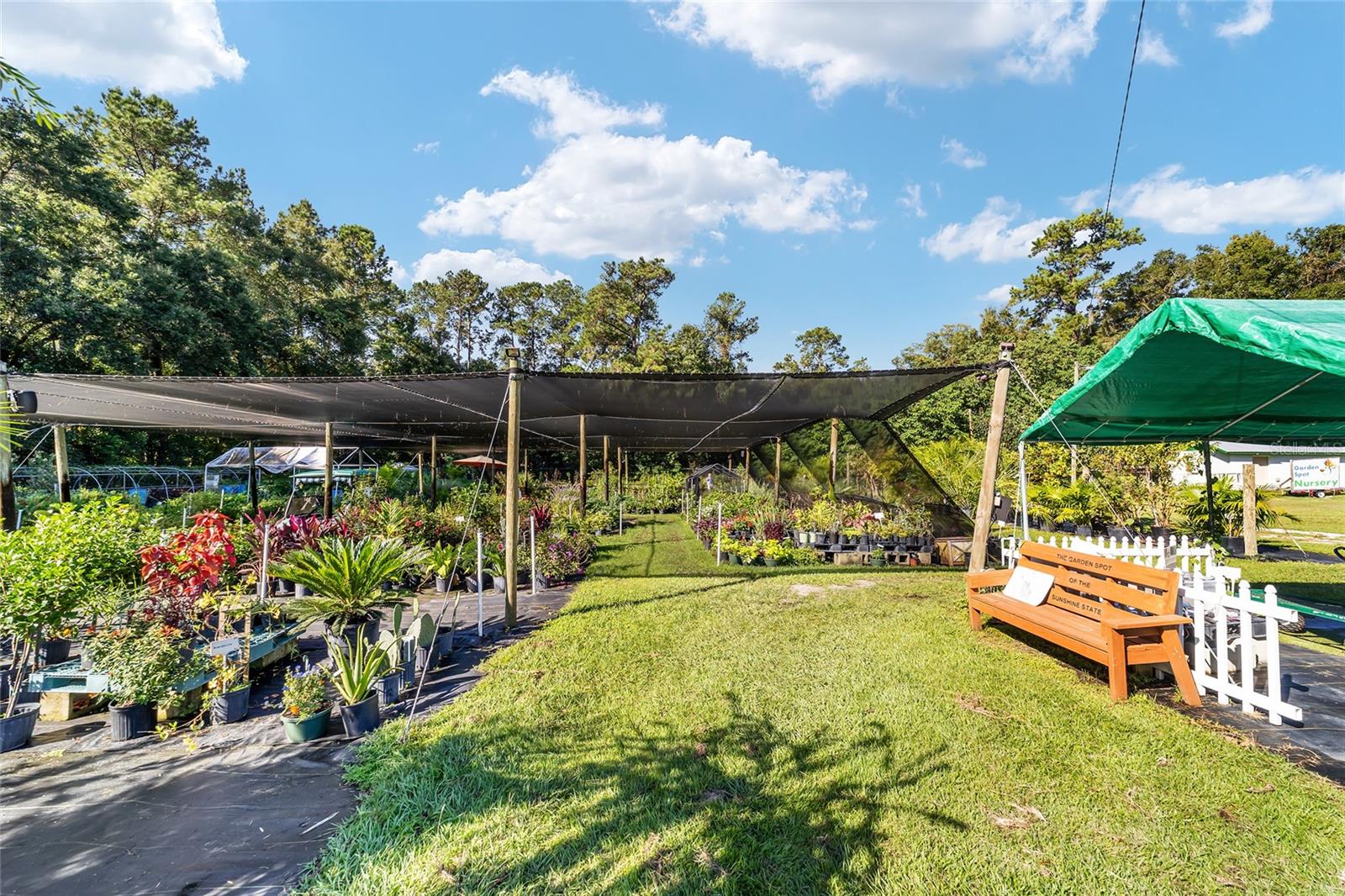 5960 S PINE AVE, OCALA, FL, 34480