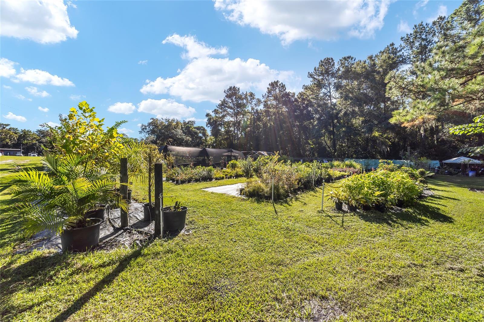 5960 S PINE AVE, OCALA, FL, 34480