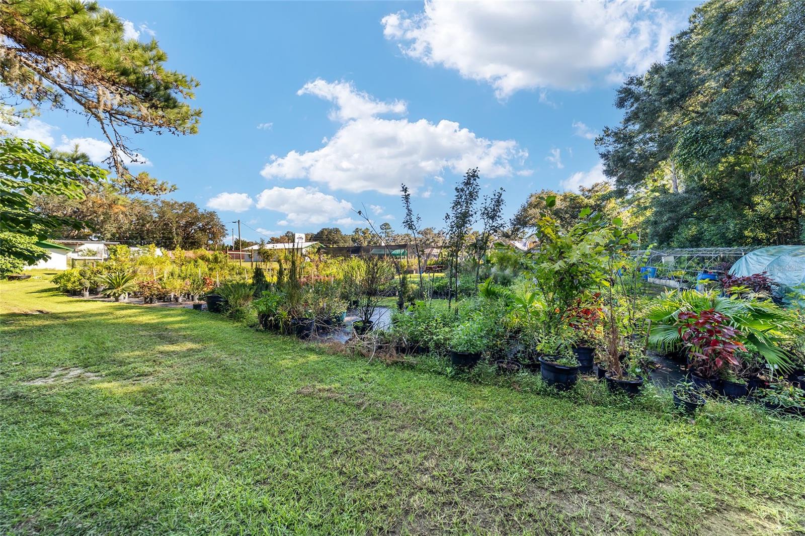 5960 S PINE AVE, OCALA, FL, 34480