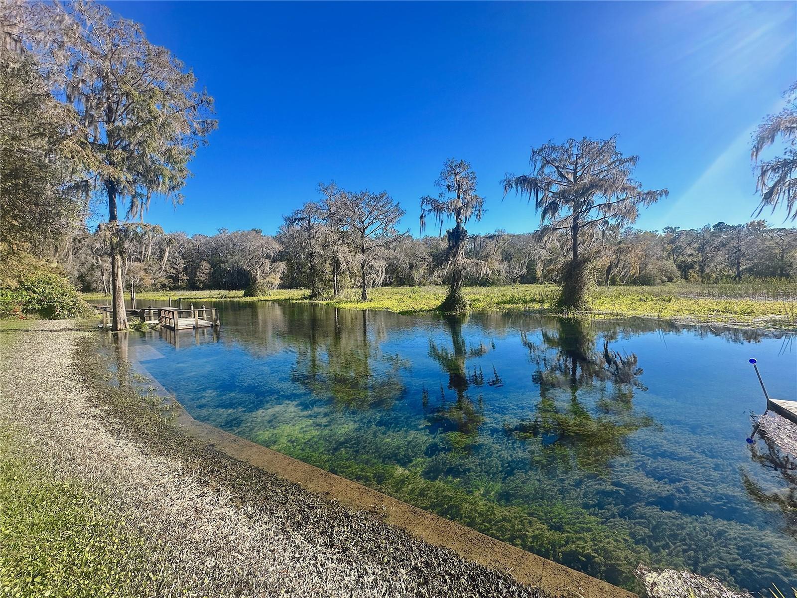 12139 PALMETTO WAY, DUNNELLON, FL, 34432