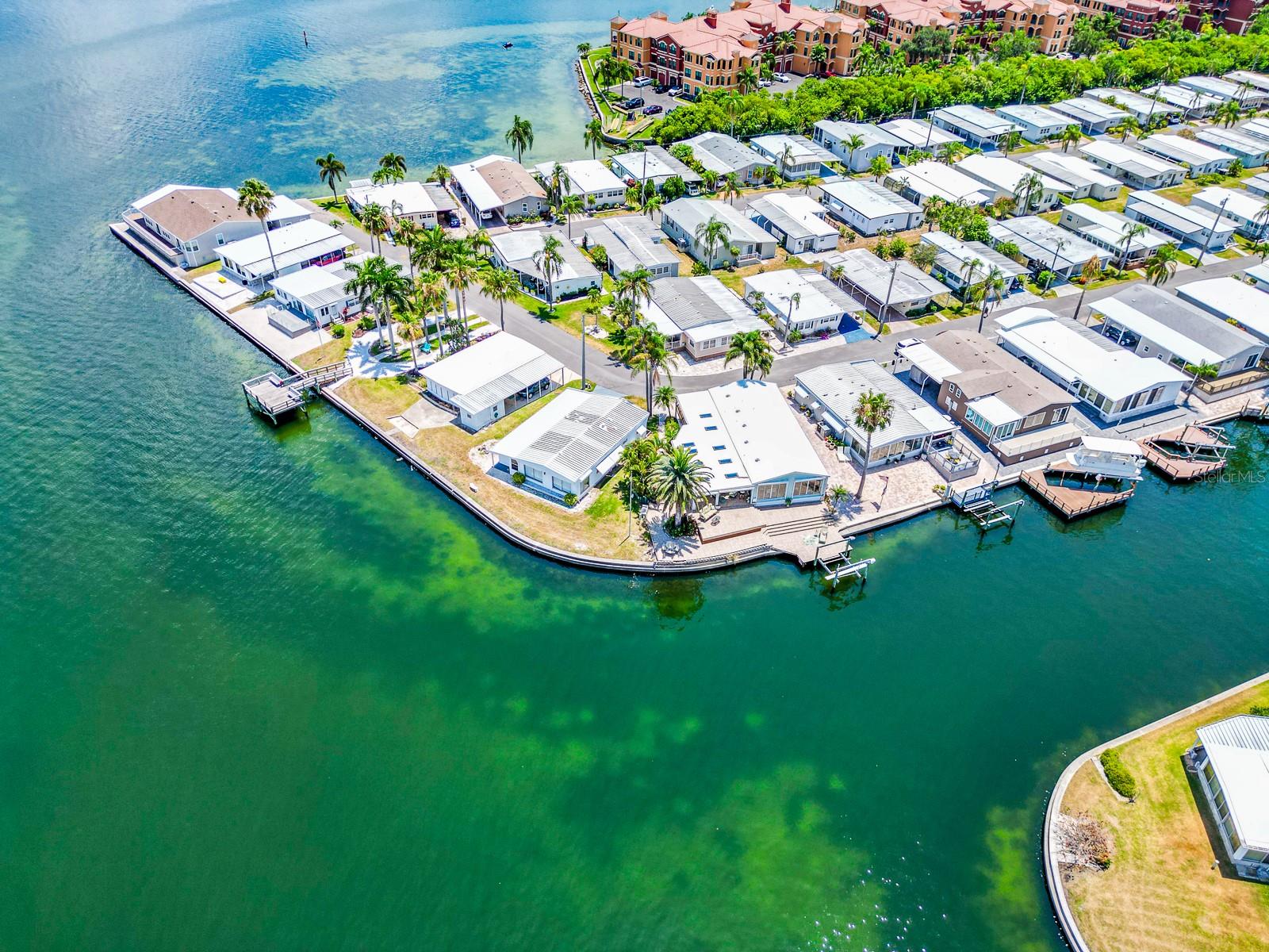 18675 US HIGHWAY 19 N #389, CLEARWATER, FL, 33764