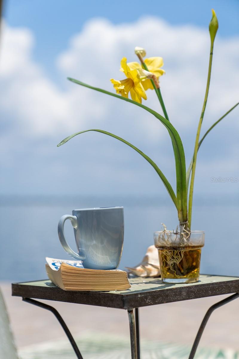 18675 US HIGHWAY 19 N #389, CLEARWATER, FL, 33764