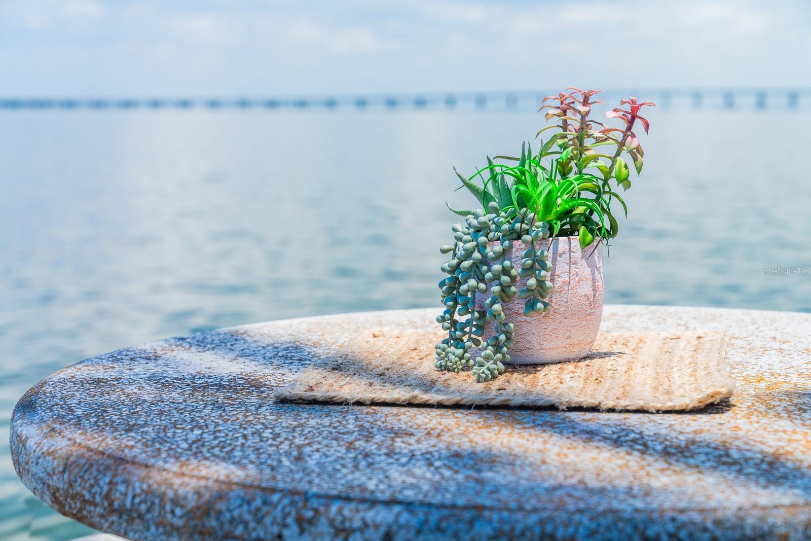 18675 US HIGHWAY 19 N #389, CLEARWATER, FL, 33764