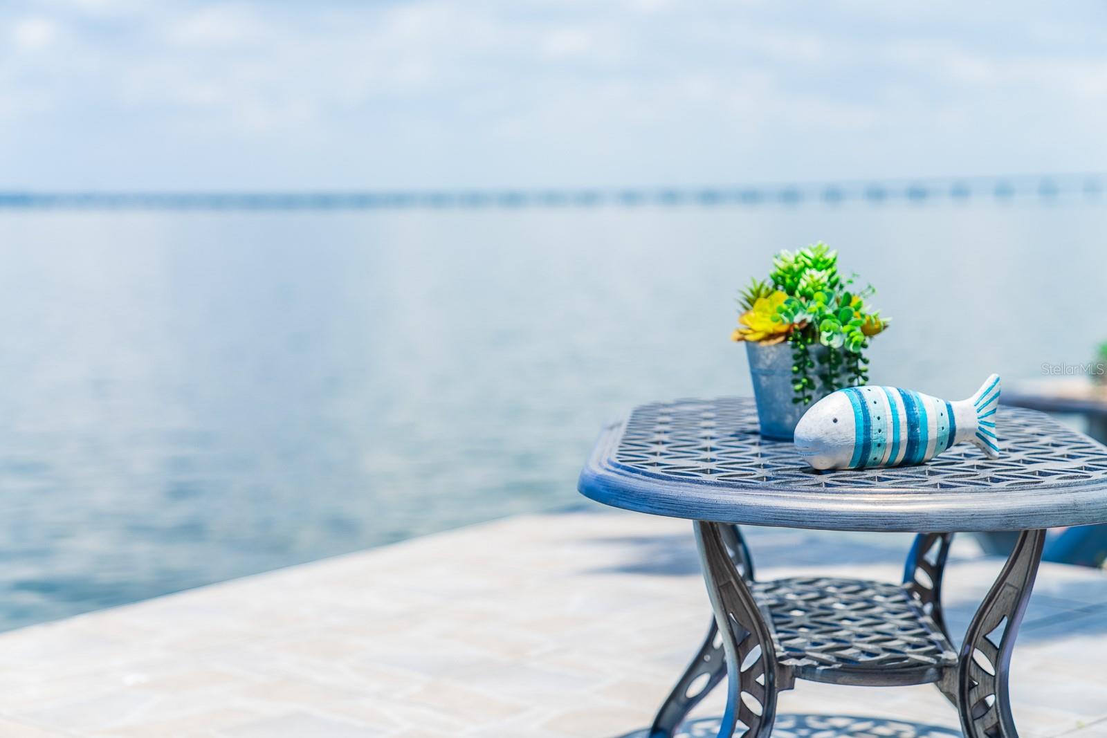 18675 US HIGHWAY 19 N #389, CLEARWATER, FL, 33764