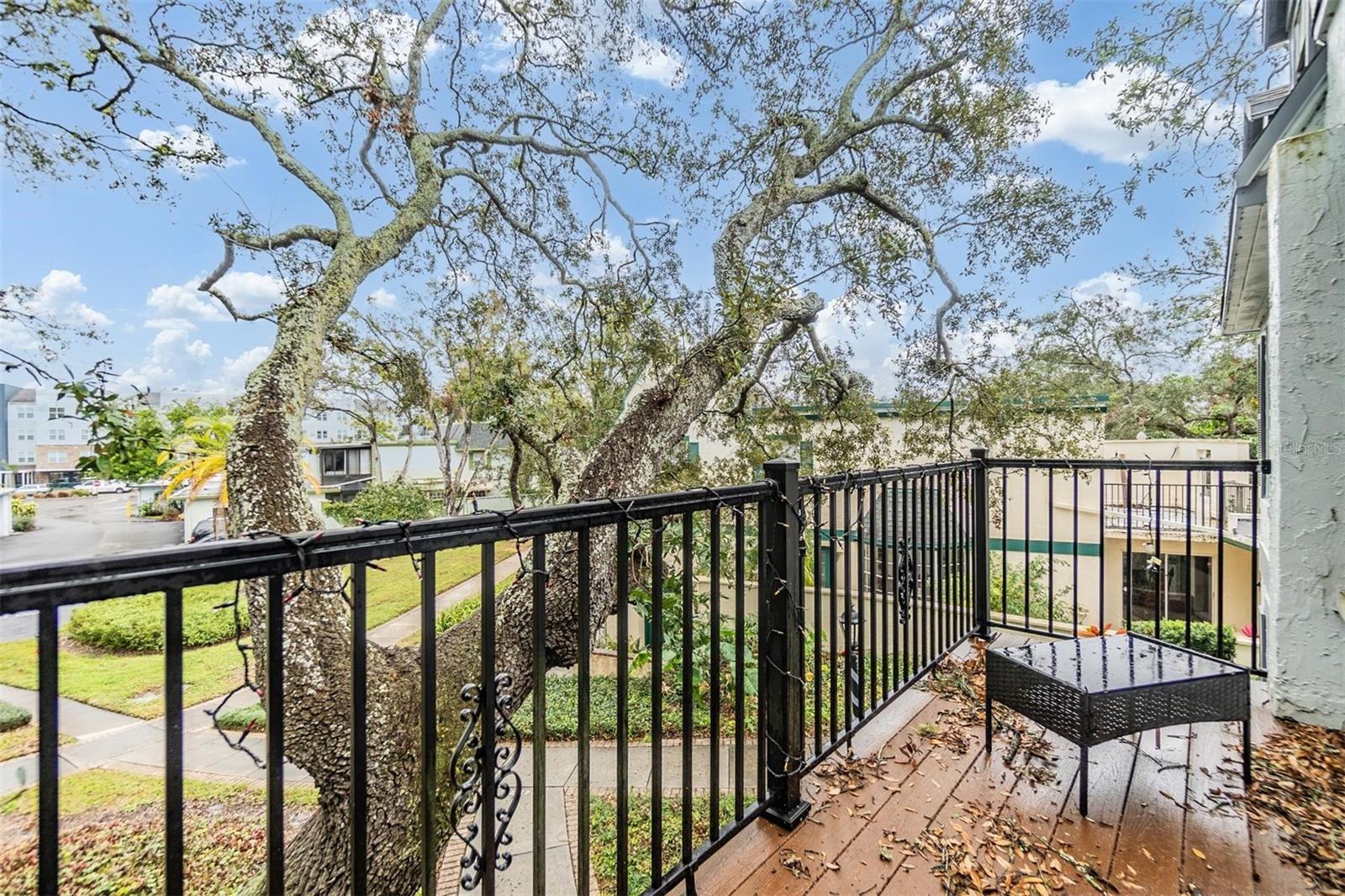 4453 VIEUX CARRE CIR, TAMPA, FL, 33613