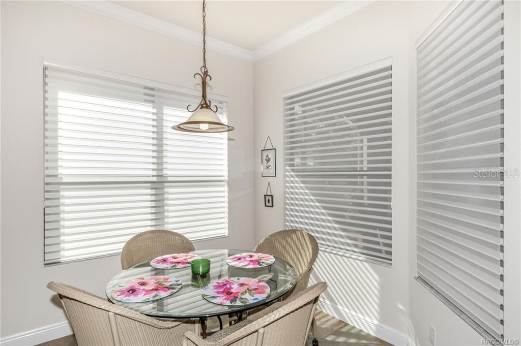 1099 SKYVIEW XING, HERNANDO, FL, 34442