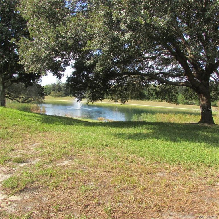 1099 SKYVIEW XING, HERNANDO, FL, 34442