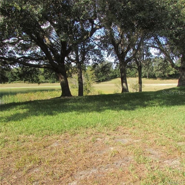 1099 SKYVIEW XING, HERNANDO, FL, 34442
