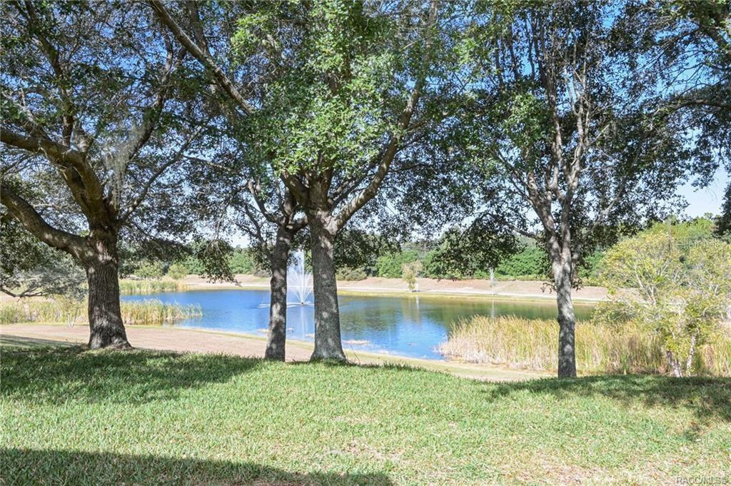 1099 SKYVIEW XING, HERNANDO, FL, 34442