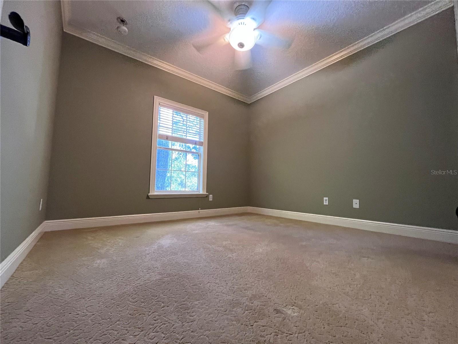 1302 MICHIGAN AVE, WINTER PARK, FL, 32789