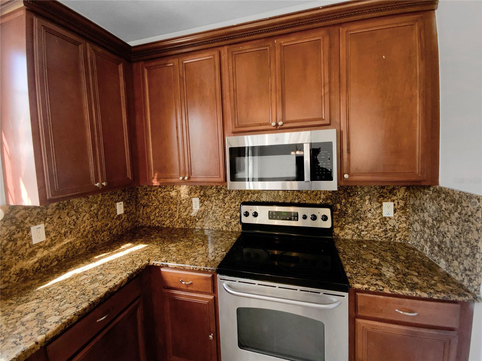 9301 WELLSTONE DR, LAND O LAKES, FL, 34638