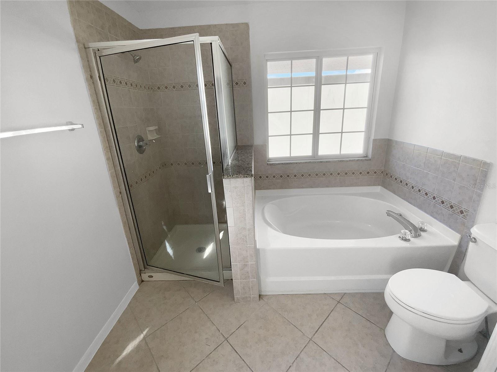 9301 WELLSTONE DR, LAND O LAKES, FL, 34638