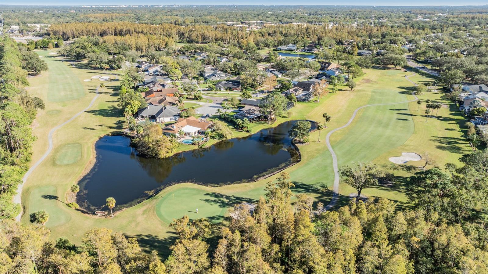 14631 VILLAGE GLEN CIR, TAMPA, FL, 33618
