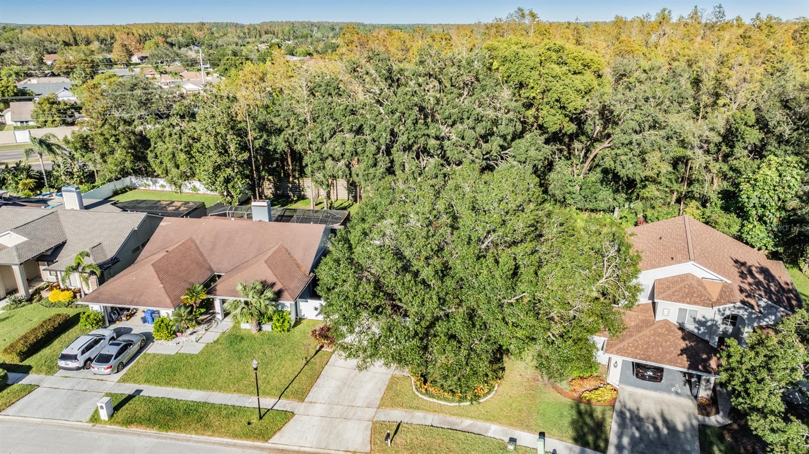 14631 VILLAGE GLEN CIR, TAMPA, FL, 33618