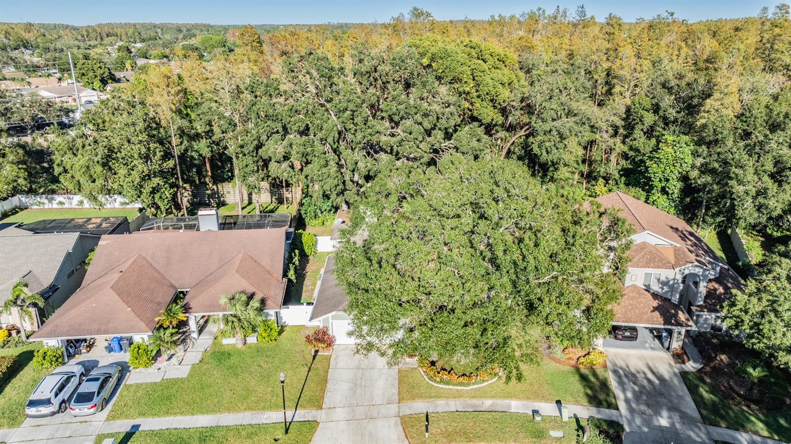 14631 VILLAGE GLEN CIR, TAMPA, FL, 33618