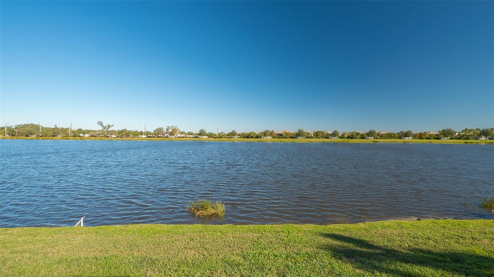 8430 NANDINA DR, SARASOTA, FL, 34240
