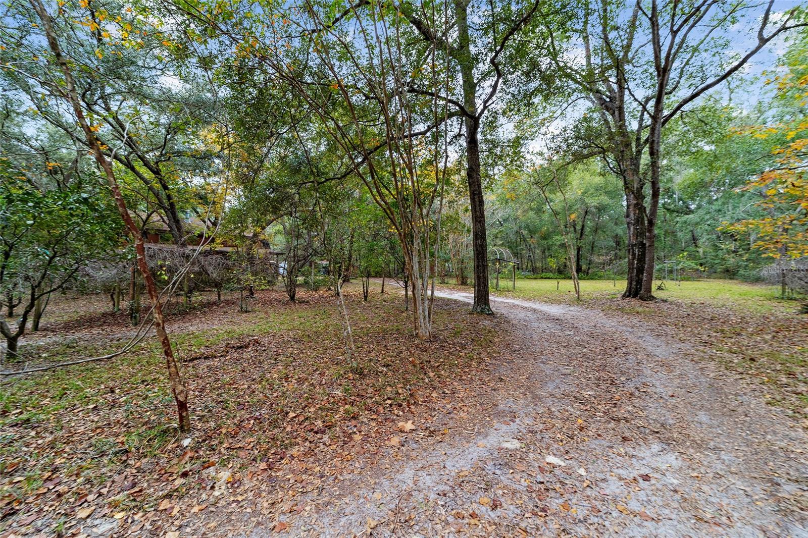 8314 MELROSE RD, MELROSE, FL, 32666