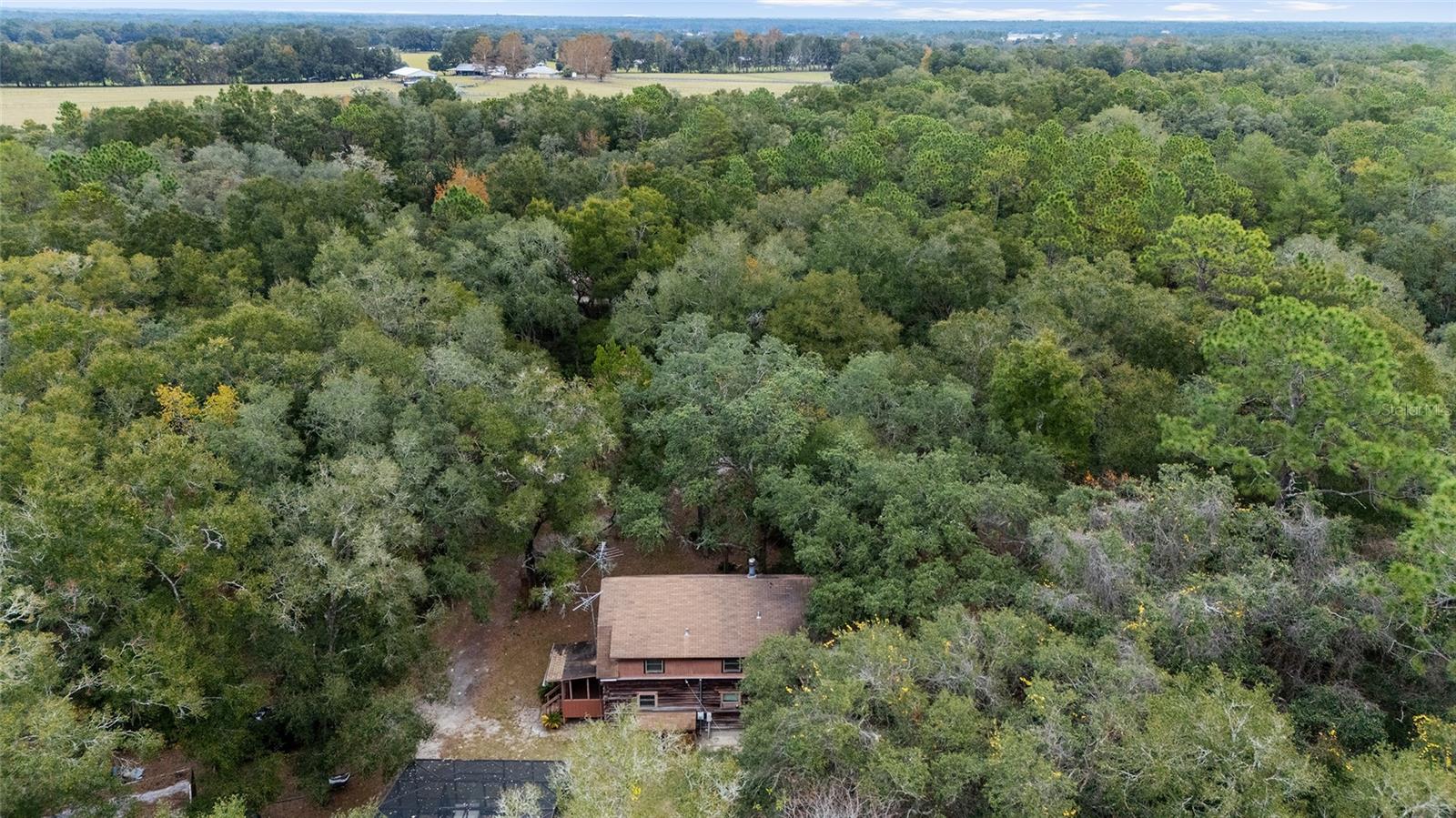 8314 MELROSE RD, MELROSE, FL, 32666