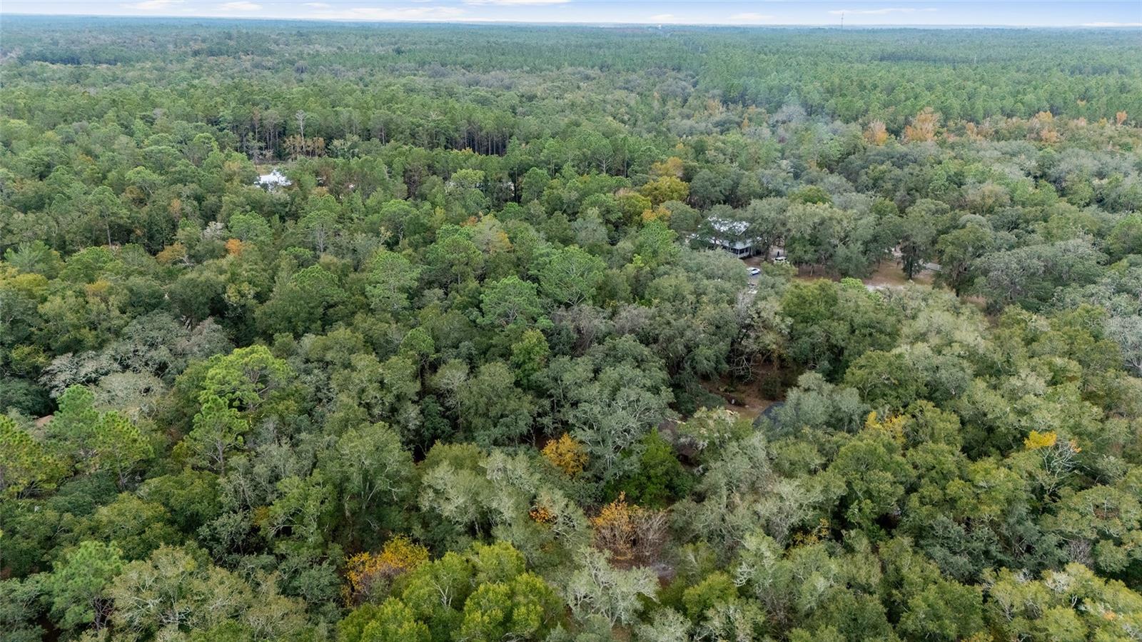 8314 MELROSE RD, MELROSE, FL, 32666