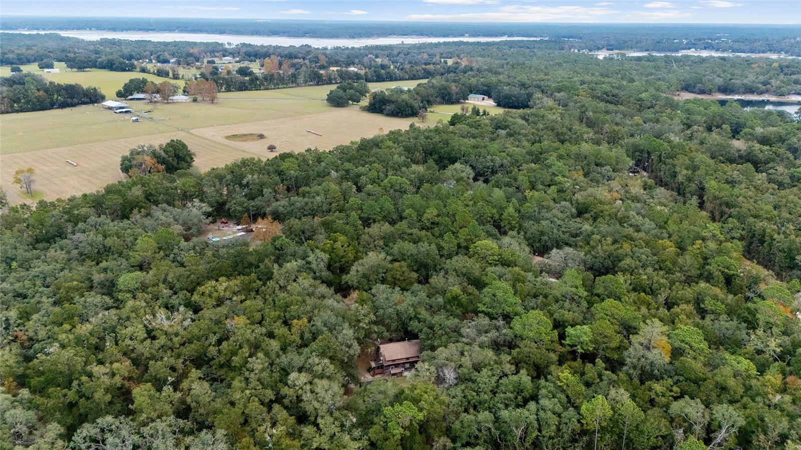 8314 MELROSE RD, MELROSE, FL, 32666