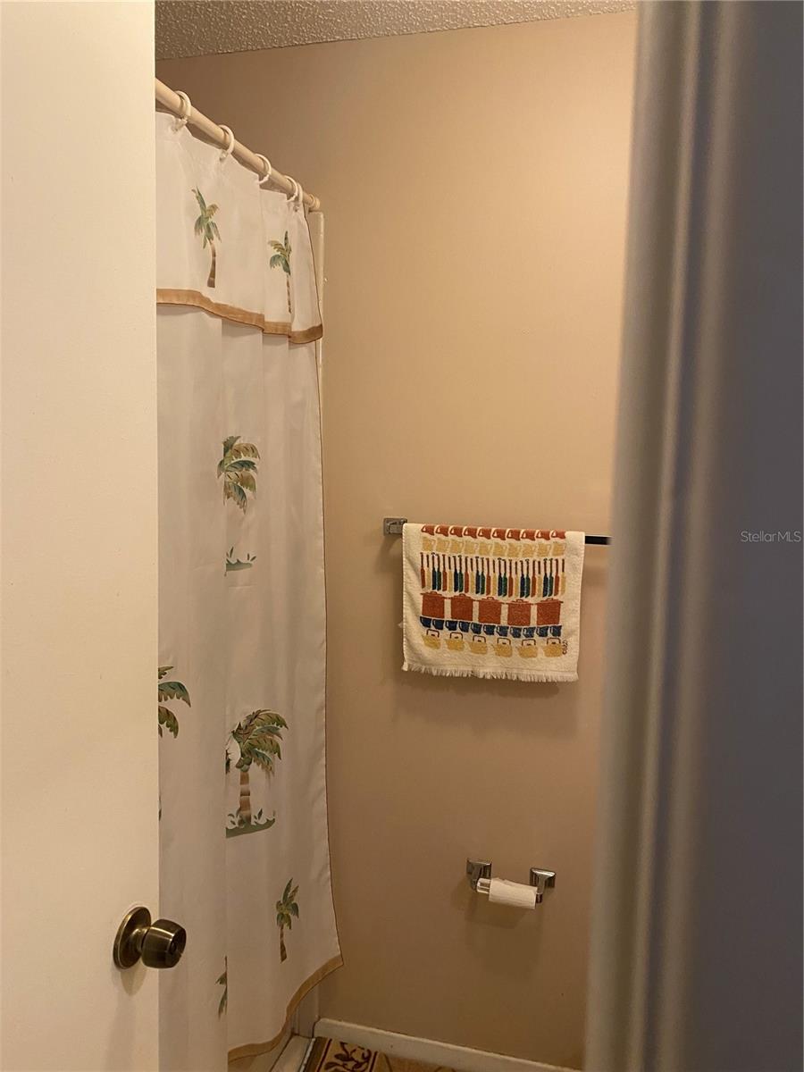 5105 GARDEN VALE AVE, TAMPA, FL, 33624