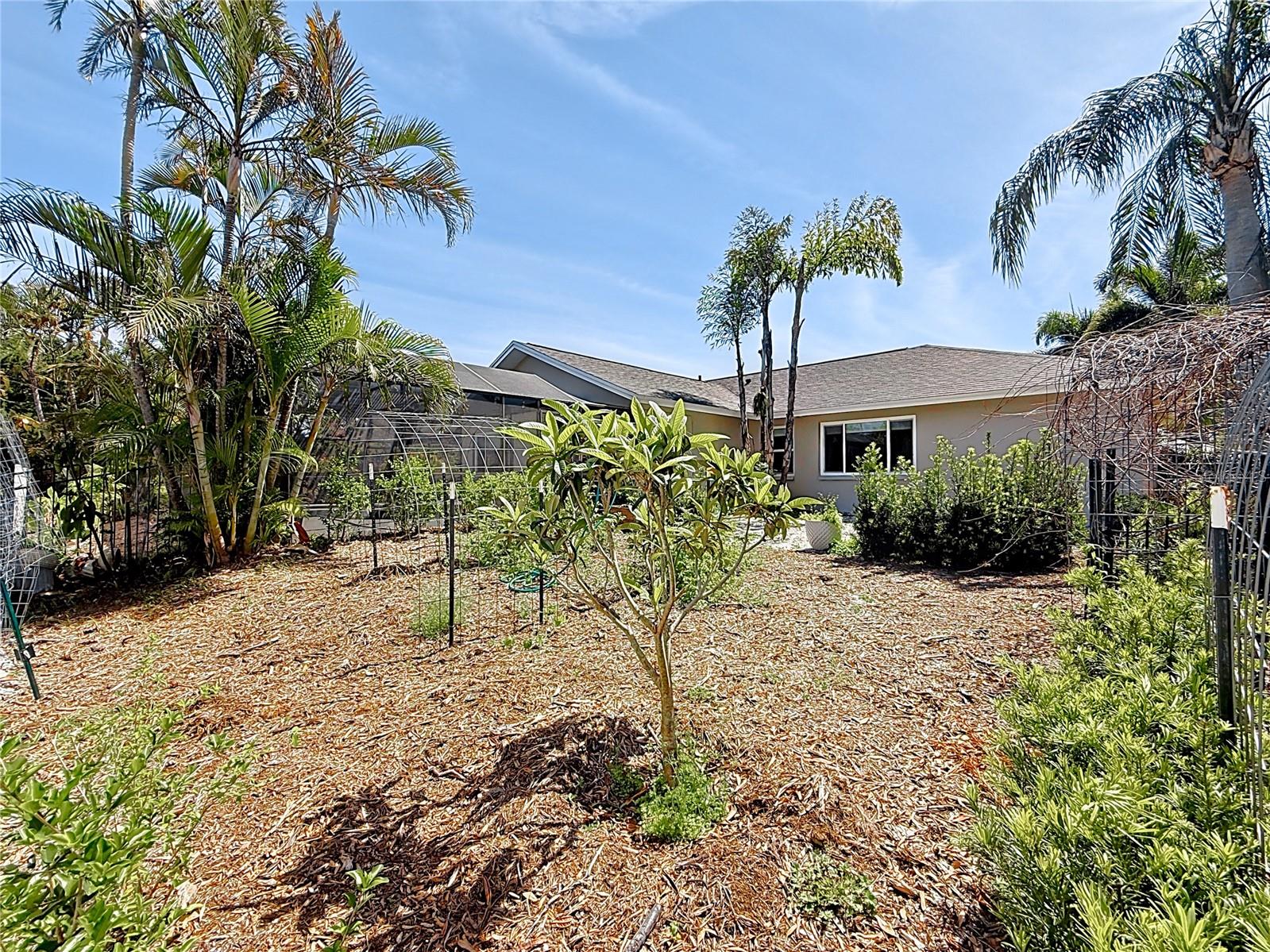 3009 OSPREY LN, CLEARWATER, FL, 33762